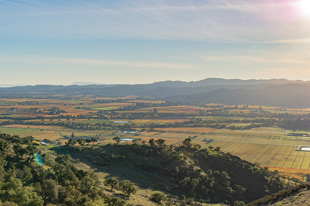 λ μμ΄λ리. νμ§λ§ λ€λ₯Έ